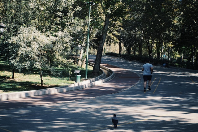 Selremnira inspiráció